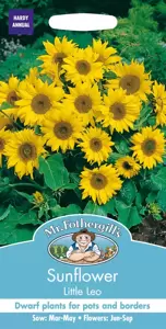 Sunflower Little Leo - image 1