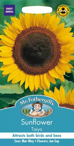 Sunflower Taiyo - image 1