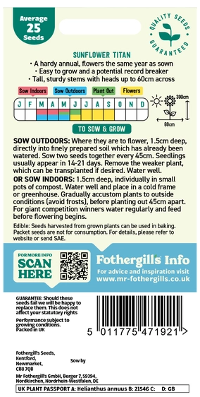 Sunflower Titan - image 2