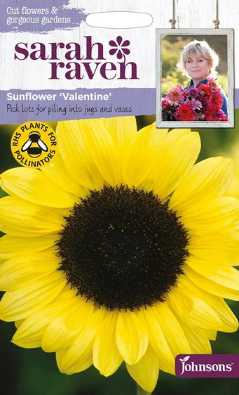 Sunflower Valentine