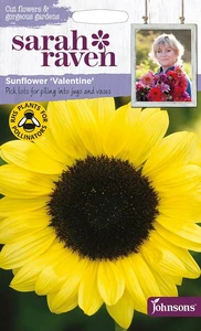 Sunflower Valentine