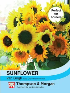 Sunflower Van Gogh - image 1