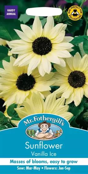 Sunflower Vanilla Ice - image 1