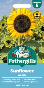 Sunflower Waooh! - image 1