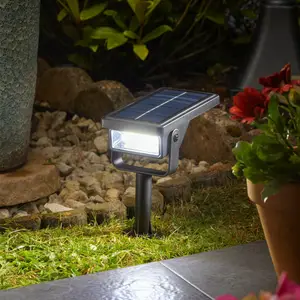 Super Bright Spotlight Stake