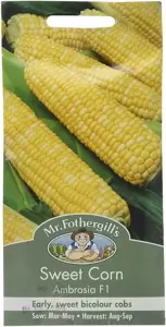 Sweet Corn Ambrosia F1 - image 1