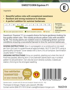 Sweet Corn Equinox F1 Seeds - image 2