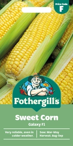 Sweet Corn Galaxy F1 - image 1