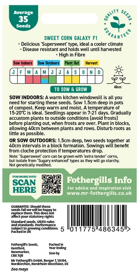 Sweet Corn Galaxy F1 - image 2