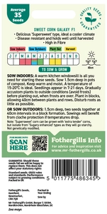 Sweet Corn Galaxy F1 - image 2