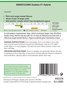Sweet Corn Ovation F1 - image 2