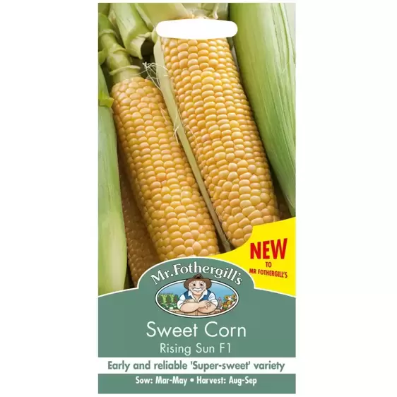 Sweet Corn Rising Sun F1