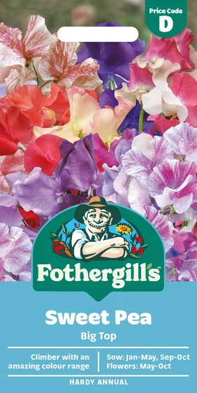 Sweet Pea Big Top - image 1