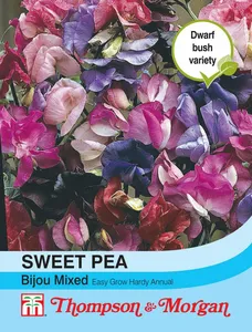 Sweet Pea Bijou Mixed - image 1