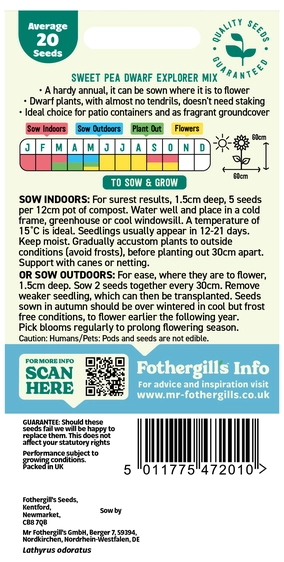 Sweet Pea Dwarf Explorer Mixed Seeds - image 2