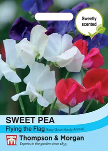 Sweet Pea Flying the Flag - image 1