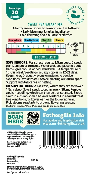 Sweet Pea Galaxy - image 2