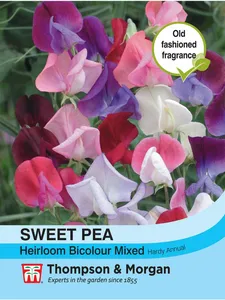 Sweet Pea Heirloom Bicolour Mix - image 1