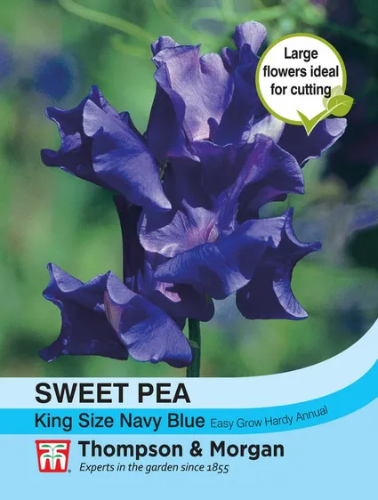 Sweet Pea King Size Navy Blue - image 1