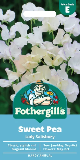 Sweet Pea Lady Salisbury Seeds - image 1
