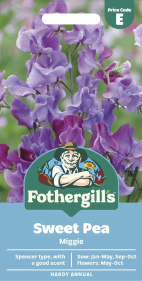 Sweet Pea Miggie - image 1