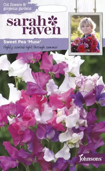 Sweet Pea Muse - image 1