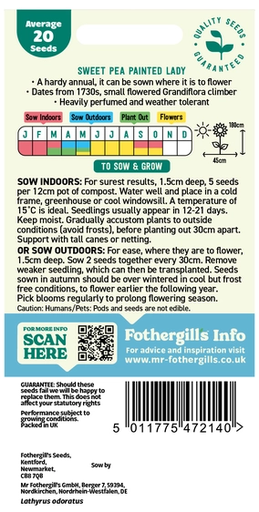 Sweet Pea Painted Lady (Grandiflora) - image 2