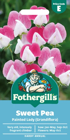 Sweet Pea Painted Lady (Grandiflora) - image 1