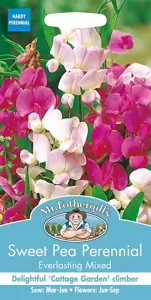 Sweet Pea Perennial Everlasting Mixed - image 1