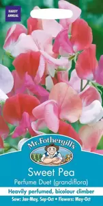 Sweet Pea Perfume Duet (Grandiflora) - image 1