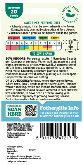 Sweet Pea Perfume Duet (Grandiflora) - image 2