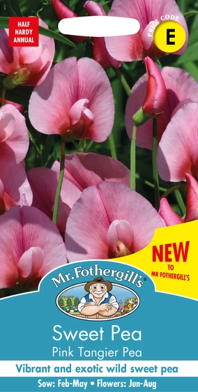 Sweet Pea Pink Tangier Pea - image 1