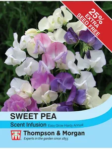 Sweet Pea Scent Infusion - image 1