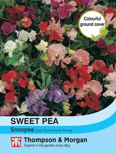 Sweet Pea Snoopea - image 1