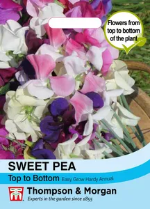 Sweet Pea Top to Bottom - image 1