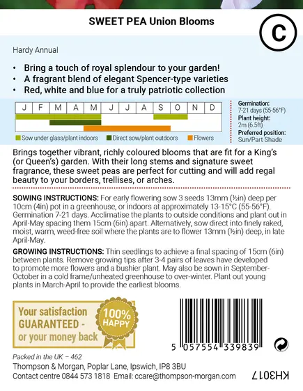 Sweet Pea Union Blooms Seeds - image 2