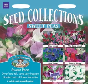 Sweet Peas Collection - image 1
