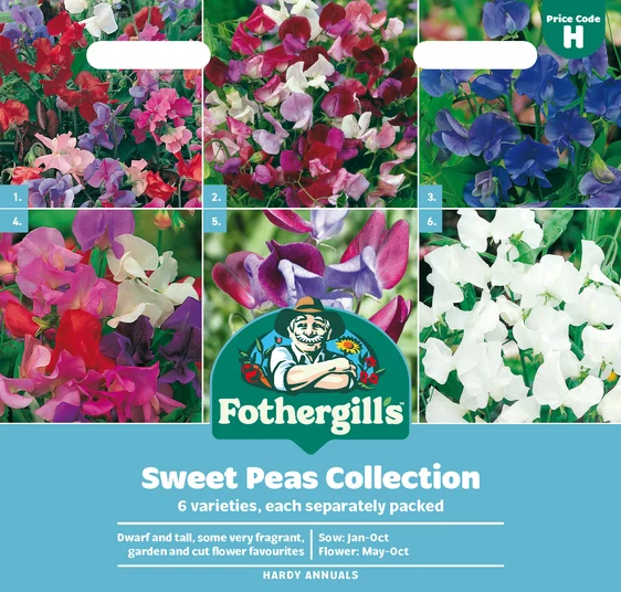 Sweet Peas Collection Seeds - image 1