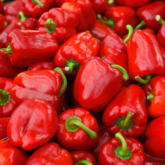 Sweet Pepper 'Maccabi' - Grafted