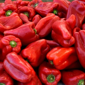 Sweet Pepper 'Red New Ace'