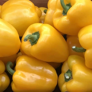 Sweet Pepper 'Yellow'