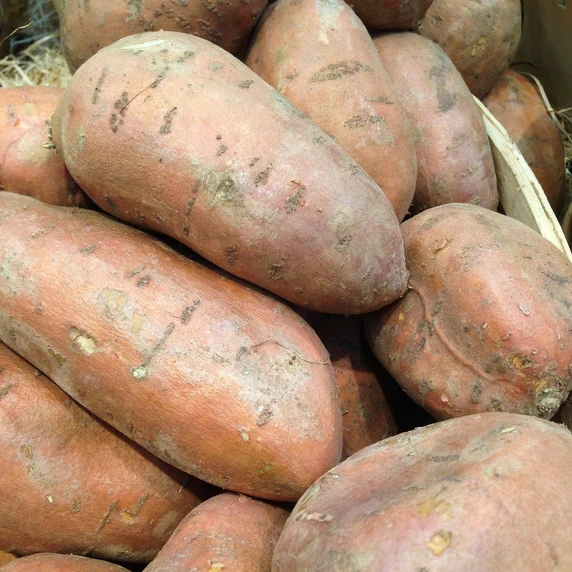 Sweet Potato 'Beauregard'