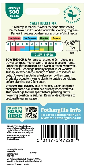 Sweet Rocket Mixed - image 2