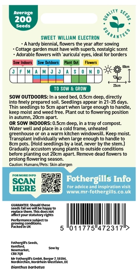 Sweet William Electron - image 2