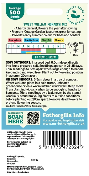Sweet William Monarch Mixed - image 2
