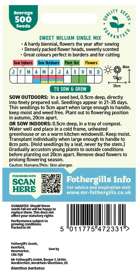 Sweet William Single Mixed Seeds - image 2