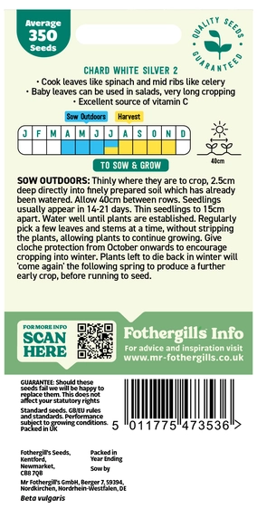 Swiss Chard White Silver 2 - image 2