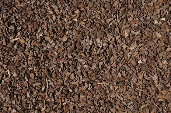 SylvaBark Pine Bark Mini Mulch - image 2