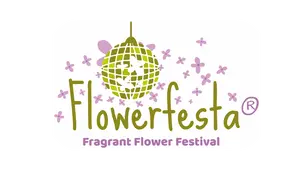 Syringa meyeri 'Flowerfesta® Purple' - image 4