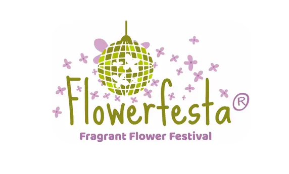 Syringa meyeri 'Flowerfesta® White' - image 4